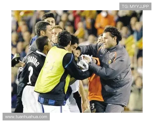 体育联赛赛制有哪些（体育赛事有哪些级别）sports