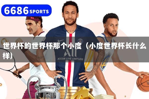 世界杯的世界杯那个小度（小度世界杯长什么样）